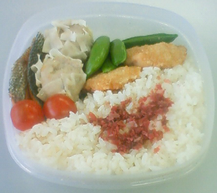 20090330.png 20090330.png