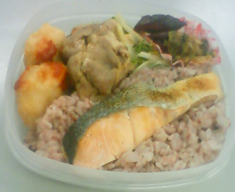 20090218.png 20090218.png