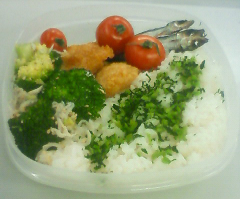 20090226.png 20090226.png