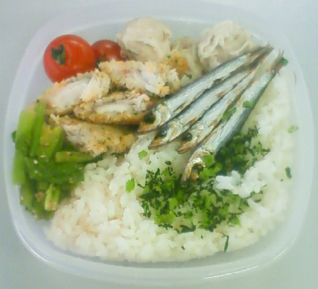 20090227.png