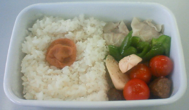 20090406.png
